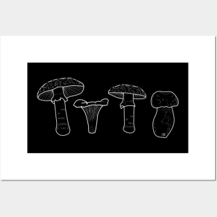 "ACAB Mushrooms" Amanita, Chanterelle, Amanita, Bolete Posters and Art